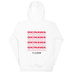 Load image into Gallery viewer, 2023 100 Karate Kata official Hoodie 02

