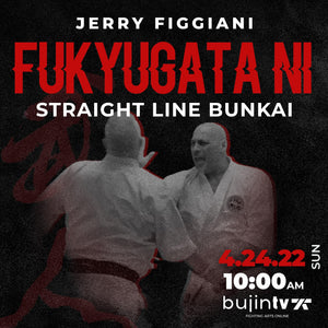 Fukyugata Ni Straight Line Bunkai - hard hitting self defence